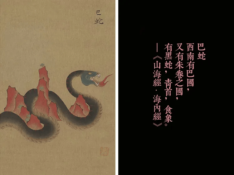 买不到，根本买不到！蛇钞蛇币难买上热搜