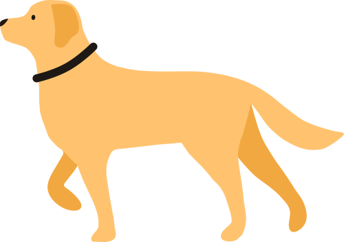 遂宁经开区：文明养犬“不掉链” 邻里和谐“无上限”