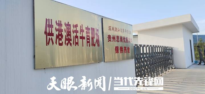 包场了！思南“牛超市”直“链”粤港澳大湾区