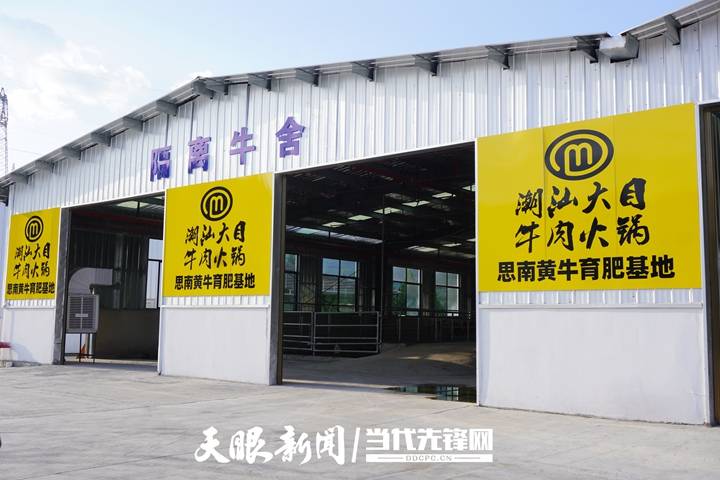 包场了！思南“牛超市”直“链”粤港澳大湾区