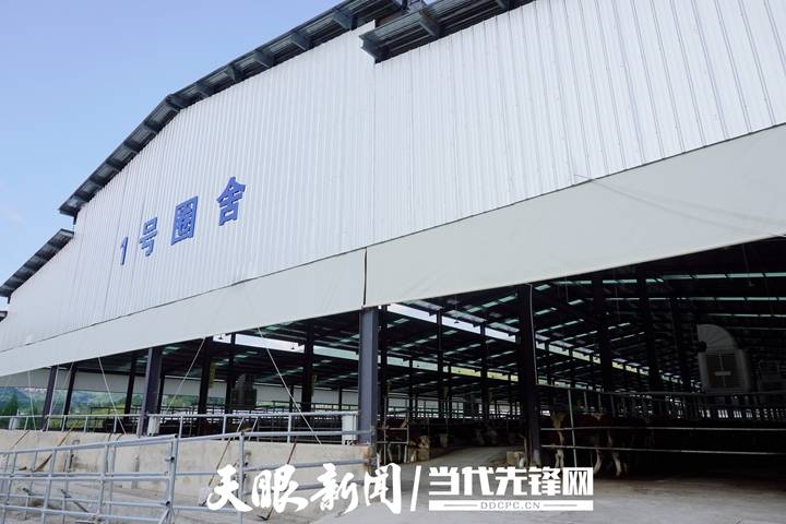 包场了！思南“牛超市”直“链”粤港澳大湾区